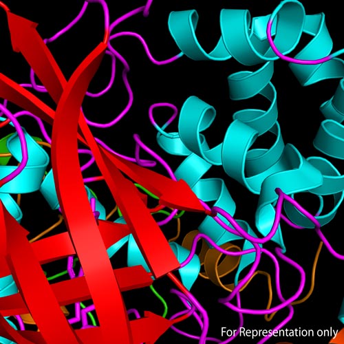 biophysics