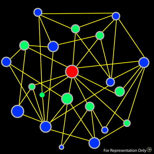 protein network